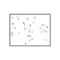 Picture of Flying Birds _GroupedProduct_Rectangle_Landscape_Photography _GroupedProduct_Rectangle_Landscape_Canvas_Framed_