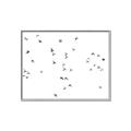 Picture of Flying Birds _GroupedProduct_Rectangle_Landscape_Photography _GroupedProduct_Rectangle_Landscape_Canvas_Framed_