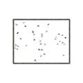 Picture of Flying Birds _GroupedProduct_Rectangle_Landscape_Photography _GroupedProduct_Rectangle_Landscape_Canvas_Framed_