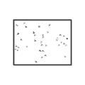 Picture of Flying Birds _GroupedProduct_Rectangle_Landscape_Photography _GroupedProduct_Rectangle_Landscape_Canvas_Framed_