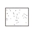 Picture of Flying Birds _GroupedProduct_Rectangle_Landscape_Photography _GroupedProduct_Rectangle_Landscape_Canvas_Framed_