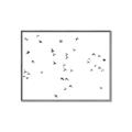 Picture of Flying Birds _GroupedProduct_Rectangle_Landscape_Photography _GroupedProduct_Rectangle_Landscape_Canvas_Framed_