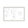 Picture of Flying Birds _GroupedProduct_Rectangle_Landscape_Photography _GroupedProduct_Rectangle_Landscape_Canvas_Framed_