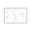 Picture of Flying Birds _GroupedProduct_Rectangle_Landscape_Photography _GroupedProduct_Rectangle_Landscape_Canvas_Framed_