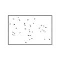 Picture of Flying Birds _GroupedProduct_Rectangle_Landscape_Photography _GroupedProduct_Rectangle_Landscape_Canvas_Framed_