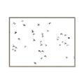 Picture of Flying Birds _GroupedProduct_Rectangle_Landscape_Photography _GroupedProduct_Rectangle_Landscape_Canvas_Framed_
