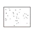 Picture of Flying Birds _GroupedProduct_Rectangle_Landscape_Photography _GroupedProduct_Rectangle_Landscape_Canvas_Framed_