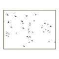 Picture of Flying Birds _GroupedProduct_Rectangle_Landscape_Photography _GroupedProduct_Rectangle_Landscape_Canvas_Framed_