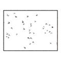 Picture of Flying Birds _GroupedProduct_Rectangle_Landscape_Photography _GroupedProduct_Rectangle_Landscape_Canvas_Framed_
