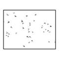 Picture of Flying Birds _GroupedProduct_Rectangle_Landscape_Photography _GroupedProduct_Rectangle_Landscape_Canvas_Framed_