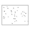 Picture of Flying Birds _GroupedProduct_Rectangle_Landscape_Photography _GroupedProduct_Rectangle_Landscape_Canvas_Framed_