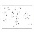 Picture of Flying Birds _GroupedProduct_Rectangle_Landscape_Photography _GroupedProduct_Rectangle_Landscape_Canvas_Framed_