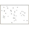 Picture of Flying Birds _GroupedProduct_Rectangle_Landscape_Photography _GroupedProduct_Rectangle_Landscape_Canvas_Framed_
