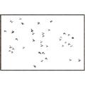 Picture of Flying Birds _GroupedProduct_Rectangle_Landscape_Photography _GroupedProduct_Rectangle_Landscape_Canvas_Framed_