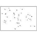 Picture of Flying Birds _GroupedProduct_Rectangle_Landscape_Photography _GroupedProduct_Rectangle_Landscape_Canvas_Framed_