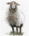 Picture of Watercolour Sheep  _GroupedProduct_Rectangle_Portrait_Unframed_Print_Only_