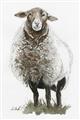Picture of Watercolour Sheep  _GroupedProduct_Rectangle_Portrait_Unframed_Print_Only_