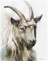 Picture of Watercolour Ram  _GroupedProduct_Rectangle_Portrait_Unframed_Print_Only_