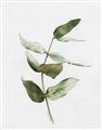 Picture of Green Leaves I  _GroupedProduct_Rectangle_Portrait_Unframed_Print_Only_