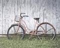 Picture of Pink bike _GroupedProduct_Rectangle_Landscape_Photography _GroupedProduct_Rectangle_Landscape_Unframed_Print_Only_