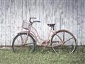Picture of Pink bike _GroupedProduct_Rectangle_Landscape_Photography _GroupedProduct_Rectangle_Landscape_Unframed_Print_Only_