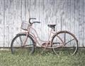 Picture of Pink bike _GroupedProduct_Rectangle_Landscape_Photography _GroupedProduct_Rectangle_Landscape_Unframed_Print_Only_