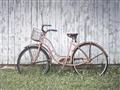 Picture of Pink bike _GroupedProduct_Rectangle_Landscape_Photography _GroupedProduct_Rectangle_Landscape_Unframed_Print_Only_