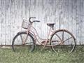 Picture of Pink bike _GroupedProduct_Rectangle_Landscape_Photography _GroupedProduct_Rectangle_Landscape_Unframed_Print_Only_