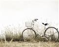 Picture of Leaning Bike  _GroupedProduct_Rectangle_Landscape_Photography _GroupedProduct_Rectangle_Landscape_Unframed_Print_Only_
