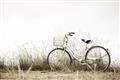 Picture of Leaning Bike  _GroupedProduct_Rectangle_Landscape_Photography _GroupedProduct_Rectangle_Landscape_Unframed_Print_Only_