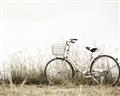 Picture of Leaning Bike  _GroupedProduct_Rectangle_Landscape_Photography _GroupedProduct_Rectangle_Landscape_Unframed_Print_Only_