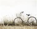 Picture of Leaning Bike  _GroupedProduct_Rectangle_Landscape_Photography _GroupedProduct_Rectangle_Landscape_Unframed_Print_Only_