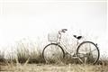 Picture of Leaning Bike  _GroupedProduct_Rectangle_Landscape_Photography _GroupedProduct_Rectangle_Landscape_Unframed_Print_Only_