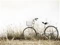 Picture of Leaning Bike  _GroupedProduct_Rectangle_Landscape_Photography _GroupedProduct_Rectangle_Landscape_Unframed_Print_Only_