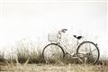 Picture of Leaning Bike  _GroupedProduct_Rectangle_Landscape_Photography _GroupedProduct_Rectangle_Landscape_Unframed_Print_Only_