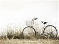 Picture of Leaning Bike  _GroupedProduct_Rectangle_Landscape_Photography _GroupedProduct_Rectangle_Landscape_Unframed_Print_Only_