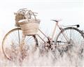Picture of Field Bike _GroupedProduct_Rectangle_Landscape_Photography _GroupedProduct_Rectangle_Landscape_Unframed_Print_Only_