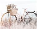 Picture of Field Bike _GroupedProduct_Rectangle_Landscape_Photography _GroupedProduct_Rectangle_Landscape_Unframed_Print_Only_