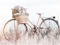 Picture of Field Bike _GroupedProduct_Rectangle_Landscape_Photography _GroupedProduct_Rectangle_Landscape_Unframed_Print_Only_