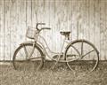 Picture of Pink bike _GroupedProduct_Rectangle_Landscape_Photography _GroupedProduct_Rectangle_Landscape_Unframed_Print_Only_