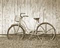 Picture of Pink bike _GroupedProduct_Rectangle_Landscape_Photography _GroupedProduct_Rectangle_Landscape_Unframed_Print_Only_