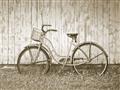 Picture of Pink bike _GroupedProduct_Rectangle_Landscape_Photography _GroupedProduct_Rectangle_Landscape_Unframed_Print_Only_