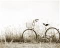 Picture of Leaning Bike  _GroupedProduct_Rectangle_Landscape_Photography _GroupedProduct_Rectangle_Landscape_Unframed_Print_Only_
