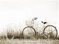 Picture of Leaning Bike  _GroupedProduct_Rectangle_Landscape_Photography _GroupedProduct_Rectangle_Landscape_Unframed_Print_Only_