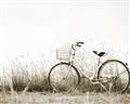 Picture of Leaning Bike  _GroupedProduct_Rectangle_Landscape_Photography _GroupedProduct_Rectangle_Landscape_Unframed_Print_Only_