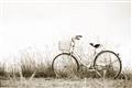 Picture of Leaning Bike  _GroupedProduct_Rectangle_Landscape_Photography _GroupedProduct_Rectangle_Landscape_Unframed_Print_Only_