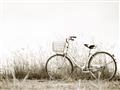 Picture of Leaning Bike  _GroupedProduct_Rectangle_Landscape_Photography _GroupedProduct_Rectangle_Landscape_Unframed_Print_Only_