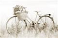 Picture of Field Bike _GroupedProduct_Rectangle_Landscape_Photography _GroupedProduct_Rectangle_Landscape_Unframed_Print_Only_