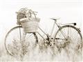 Picture of Field Bike _GroupedProduct_Rectangle_Landscape_Photography _GroupedProduct_Rectangle_Landscape_Unframed_Print_Only_