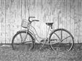 Picture of Pink bike _GroupedProduct_Rectangle_Landscape_Photography _GroupedProduct_Rectangle_Landscape_Unframed_Print_Only_